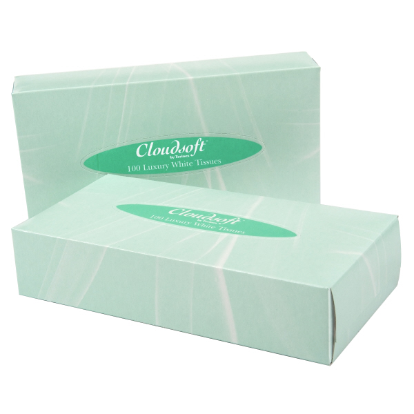 2-Ply White Facial Tissue 200 x 200 x 90 sheets