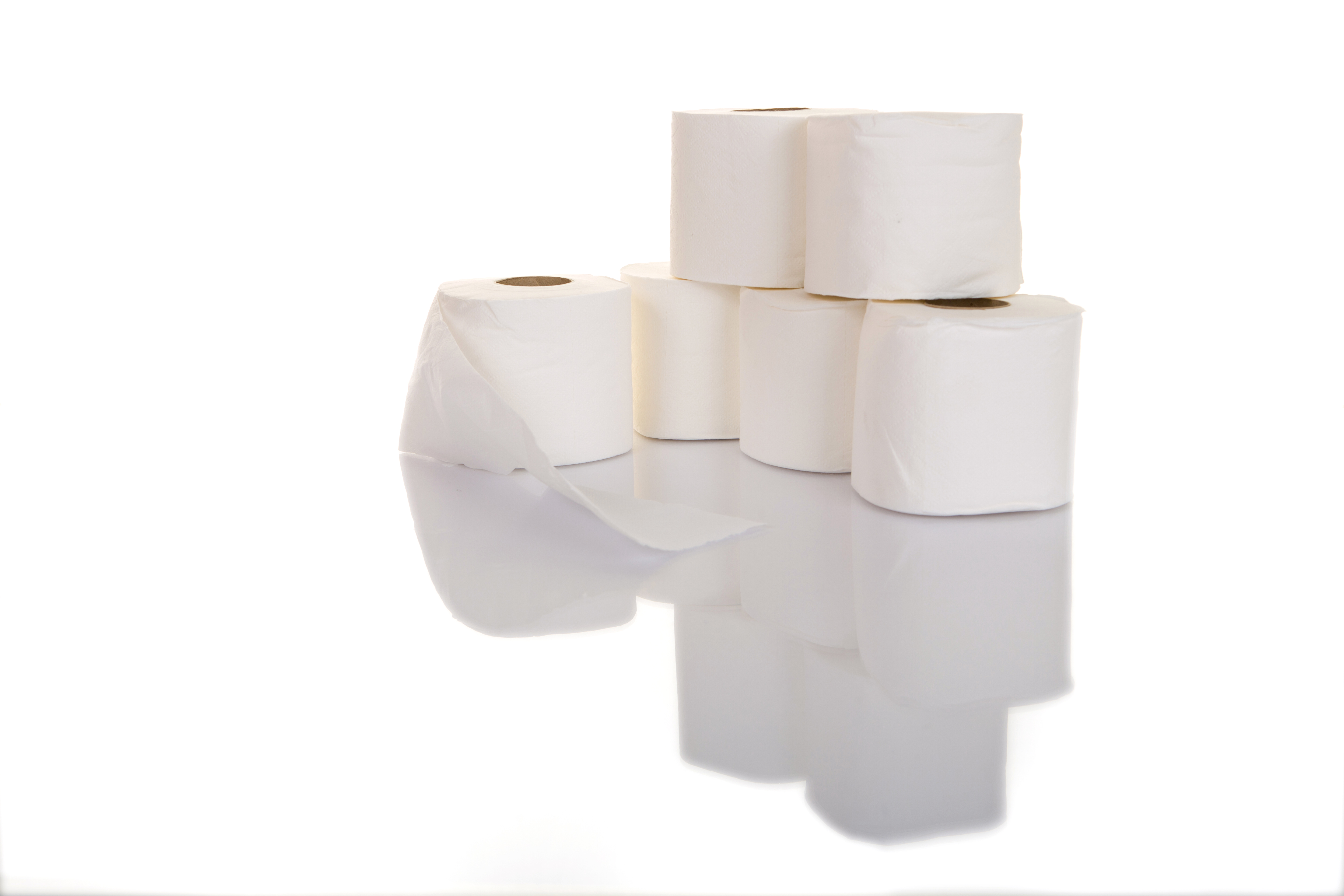 Toilet Rolls 320 Sheet 2 ply White 36`s