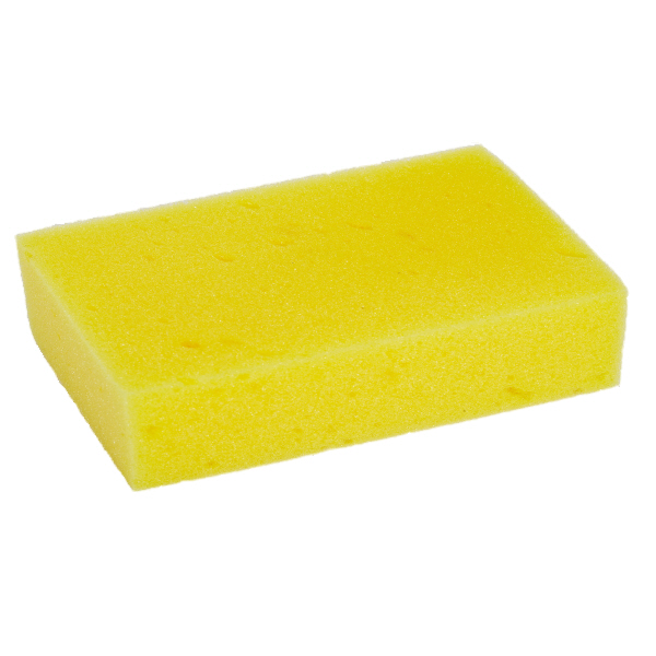 General Purpose Sponge