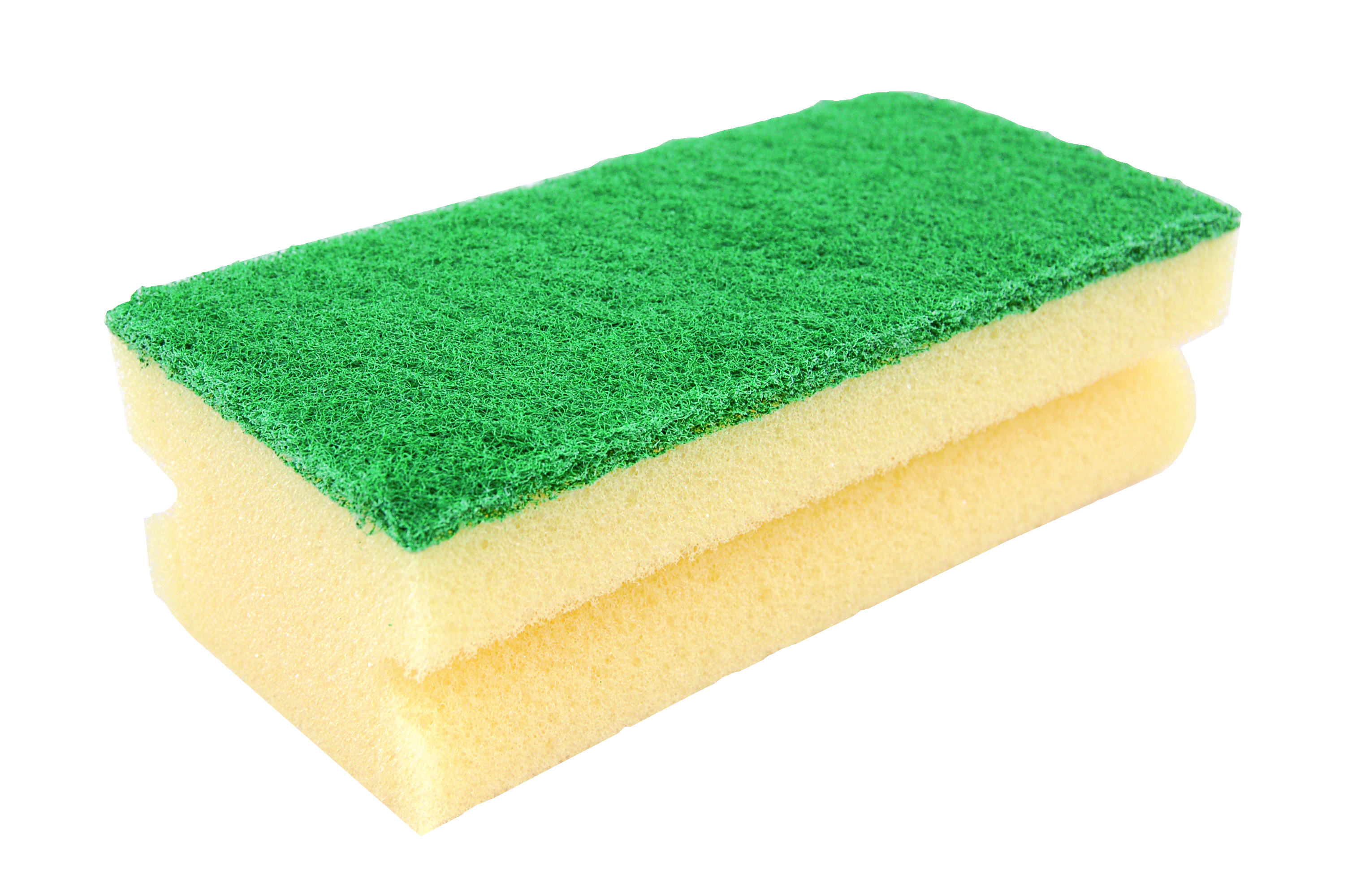 Sponge Scourer With Grip
