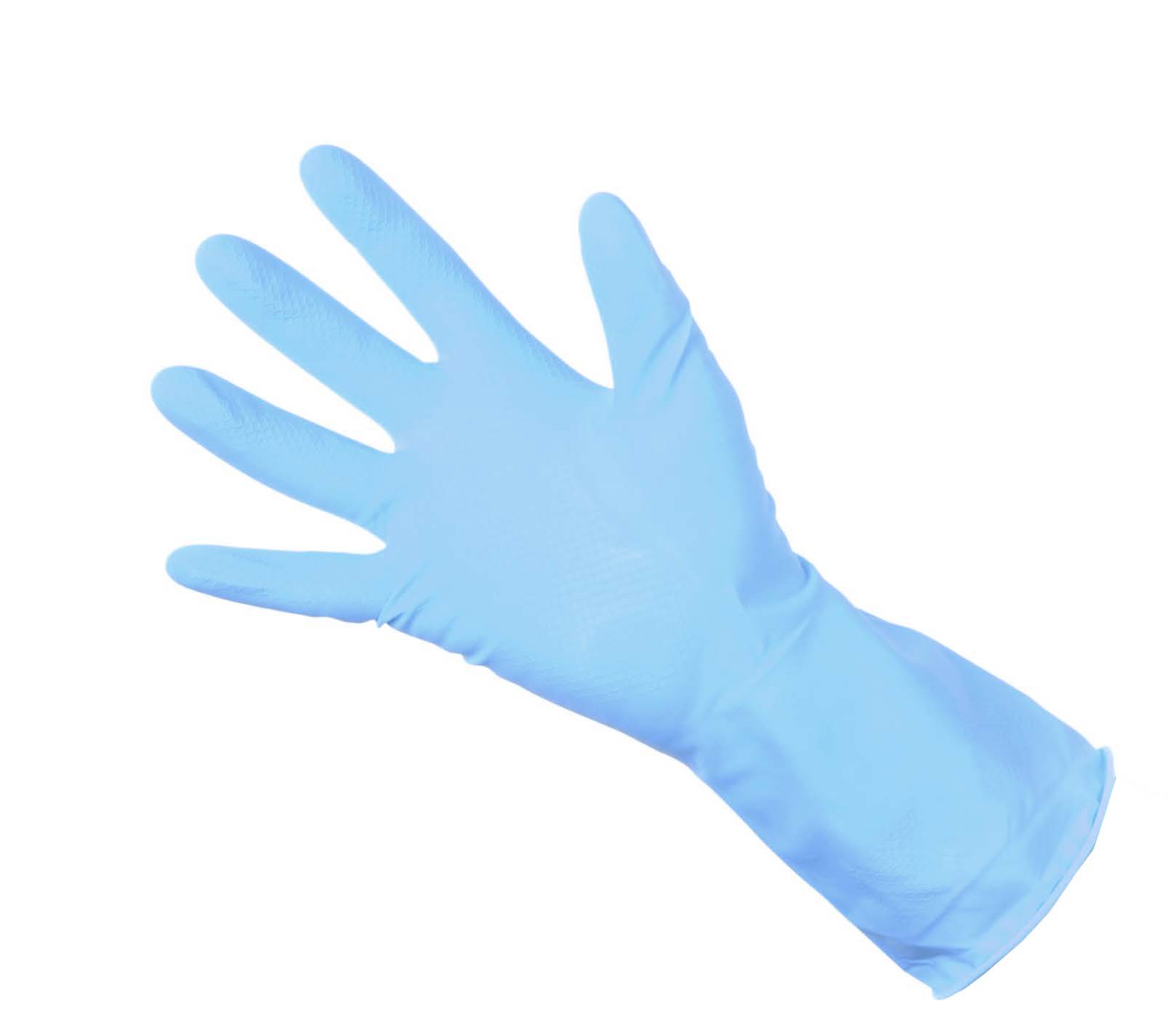 Household Gloves Blue